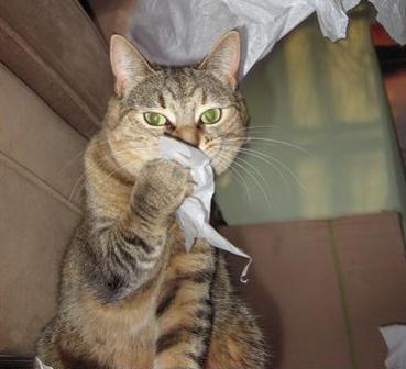 � ���� �� ��� ��������!