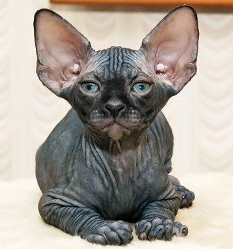 ������, ������ ��� ���������?