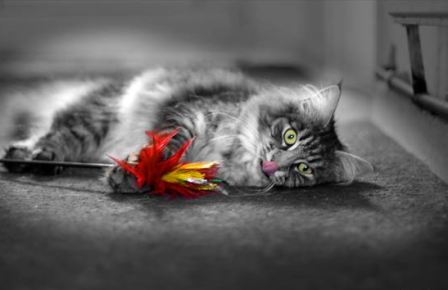 �� ����� ����, ��������!