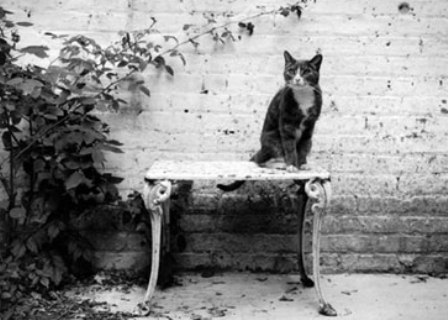 �� ����� ����, ��������!