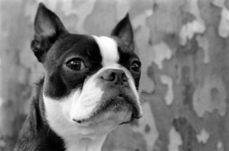 �� ����� ����, ��������!