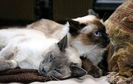 �� ����� ����, ��������!