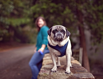 �� ����� ����, ��������!