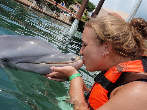 ����� ��� �� ����, ����������