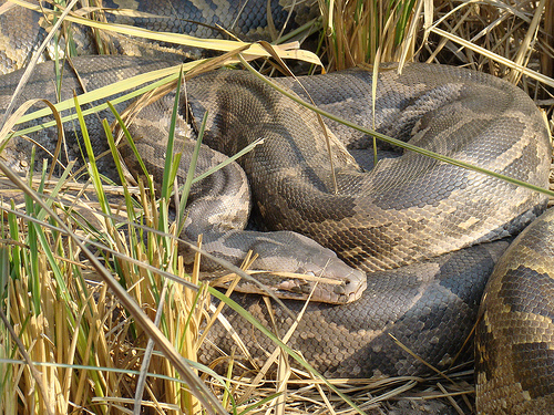 ����� � ����� ���������