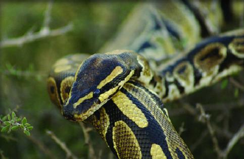 ����� � ����� ���������