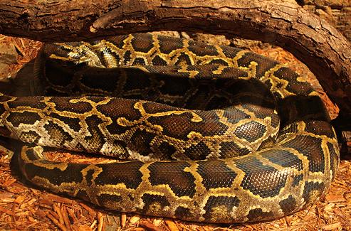 ����� � ����� ���������