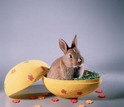 ������ ��� �������