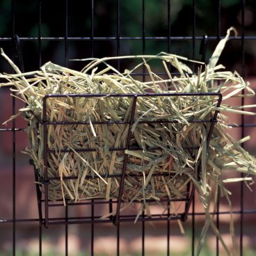 ������ ��� �������