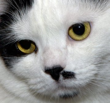 ����� ������ ������� ������?