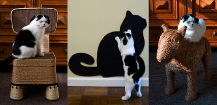 ����� ����� �������