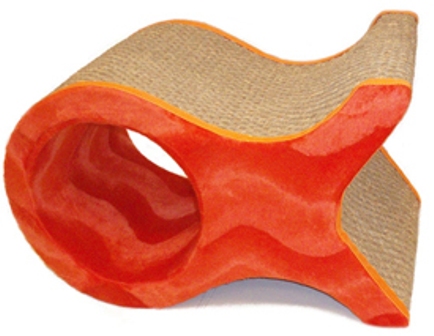 ����� ����� �������