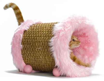 ����� ����� �������