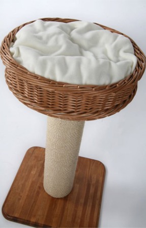 ����� ����� �������