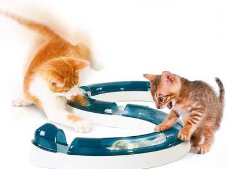 ������� ��� �����