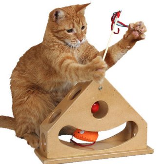 ������� ��� �����