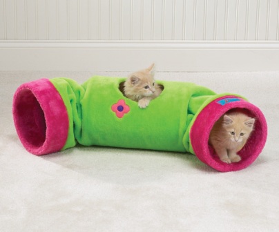 ������� ��� �����