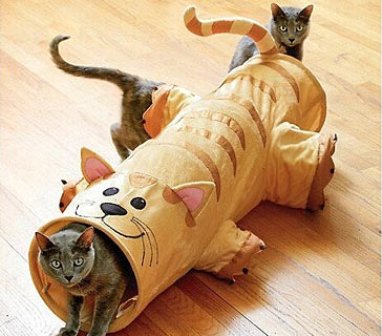 ������� ��� �����