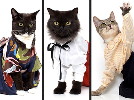 ���������� ���� � �� ����������