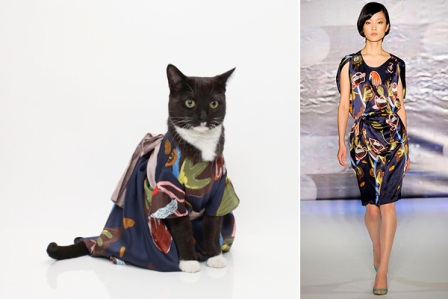 ���������� ���� � �� ����������