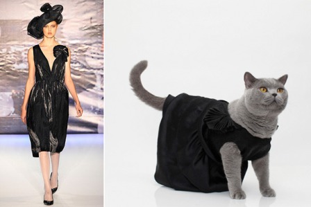 ���������� ���� � �� ����������