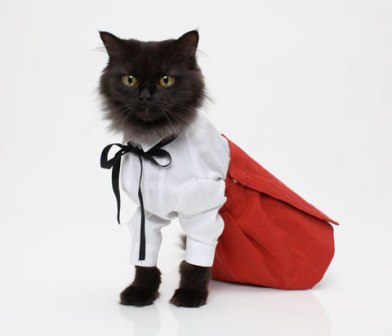 ���������� ���� � �� ����������