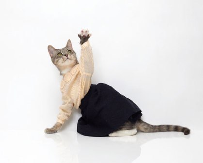 ���������� ���� � �� ����������