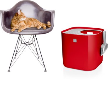 ���������� ������ ��� �����, ����� ��������?