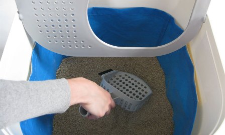 ���������� ������ ��� �����, ����� ��������?