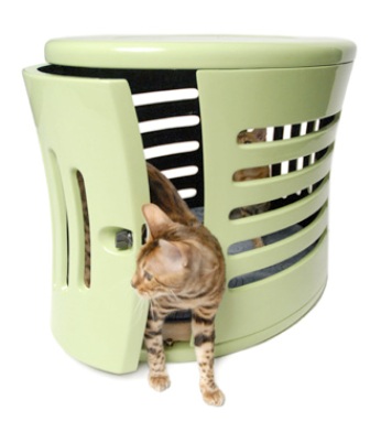 ���������� ������ ��� �����, ����� ��������?