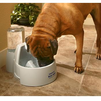 �������� ��������� ��� ����� ������