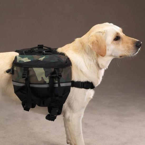 ������� ��� �����