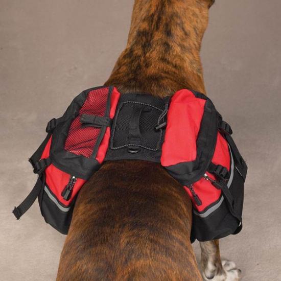 ������� ��� �����