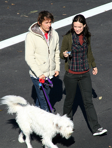 ������ ����� � �� ������