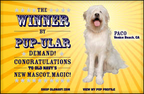 ������ ����� � �� ������