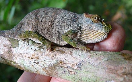 ���� � ��������� � �����