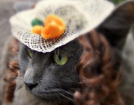 ����� � ������ ��� ����� � �������