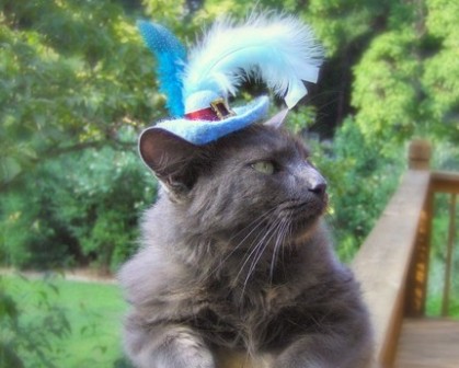 ����� � ������ ��� ����� � �������