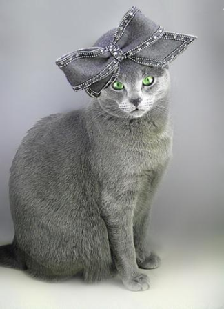 ����� � ������ ��� ����� � �������