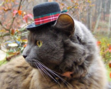 ����� � ������ ��� ����� � �������