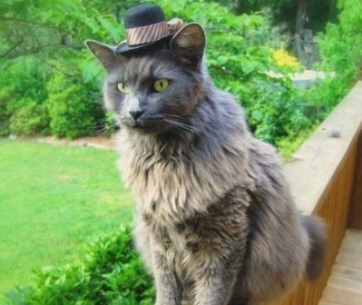 ����� � ������ ��� ����� � �������