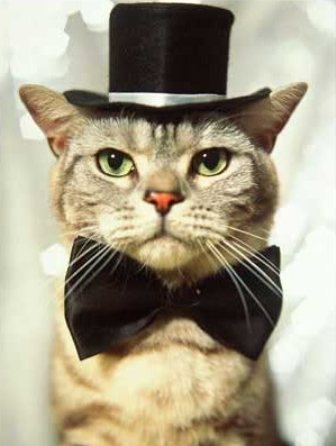 ����� � ������ ��� ����� � �������