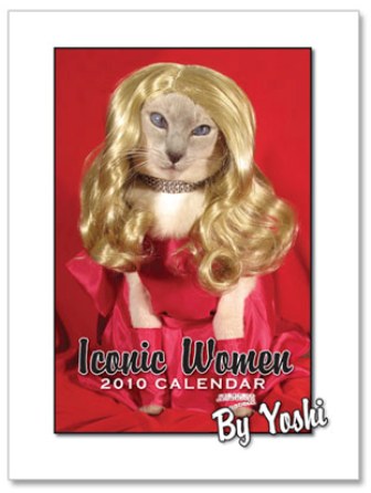 ���������� ������� � �������� ����������