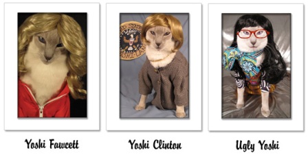 ���������� ������� � �������� ����������