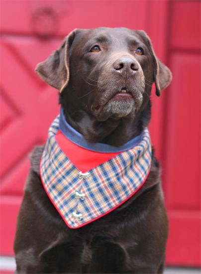 �������� ���������