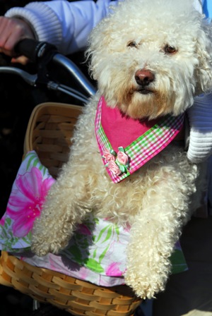 �������� ���������