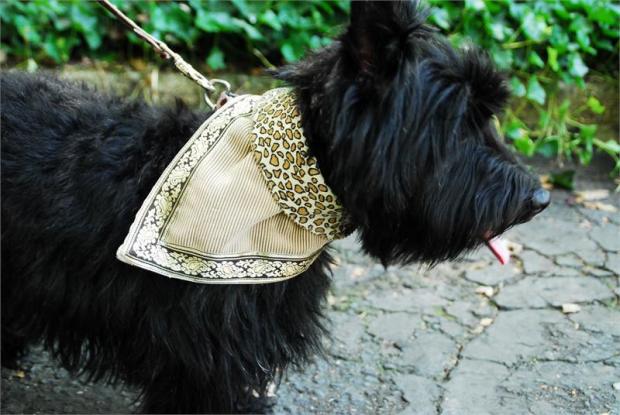 �������� ���������