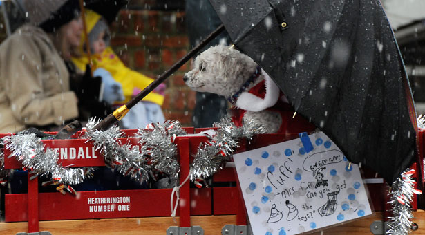 �������������� ����