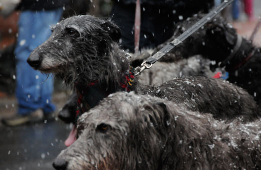 �������������� ����