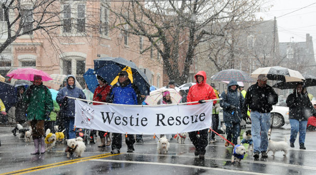 �������������� ����